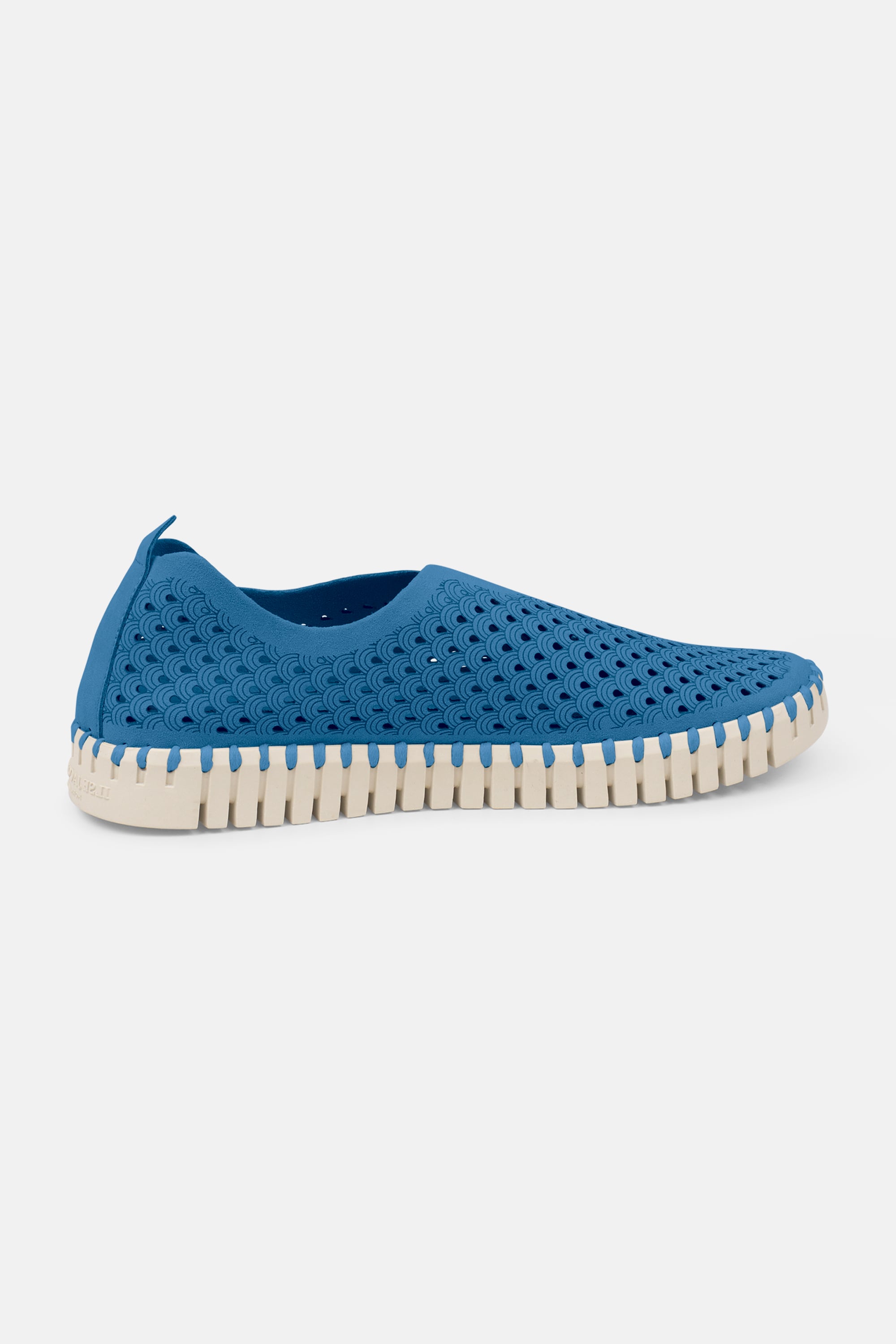 Tulip Slipper - Direct Blue